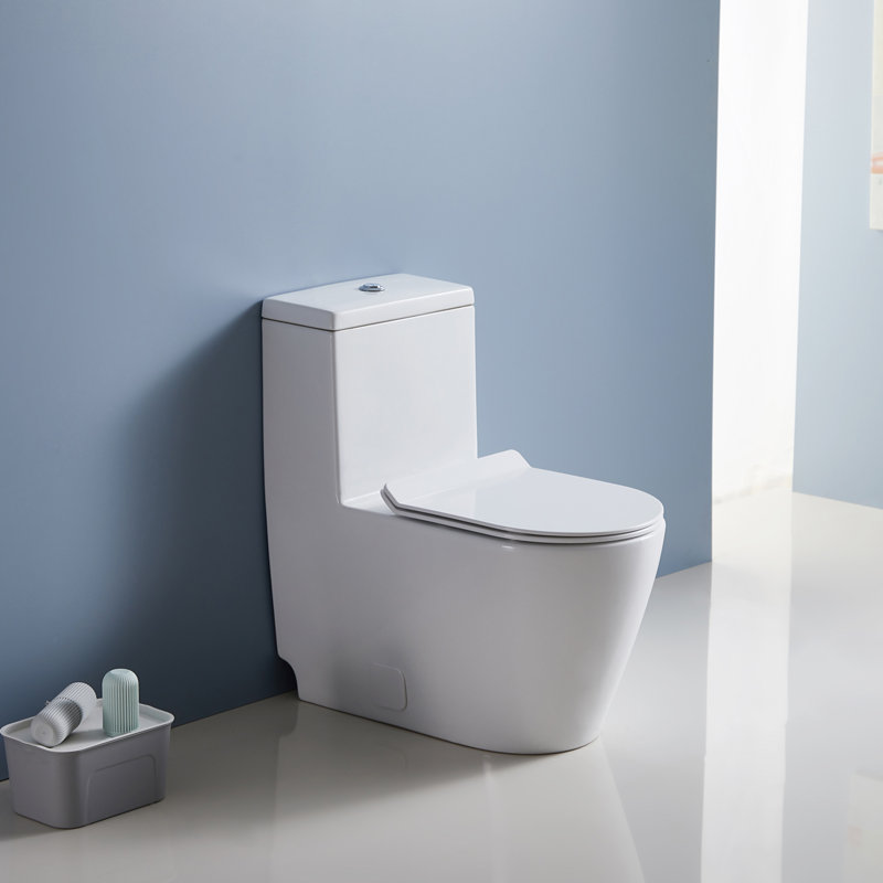 Eridanus Dual Flush OnePiece Elongated Toilet With Rough, White